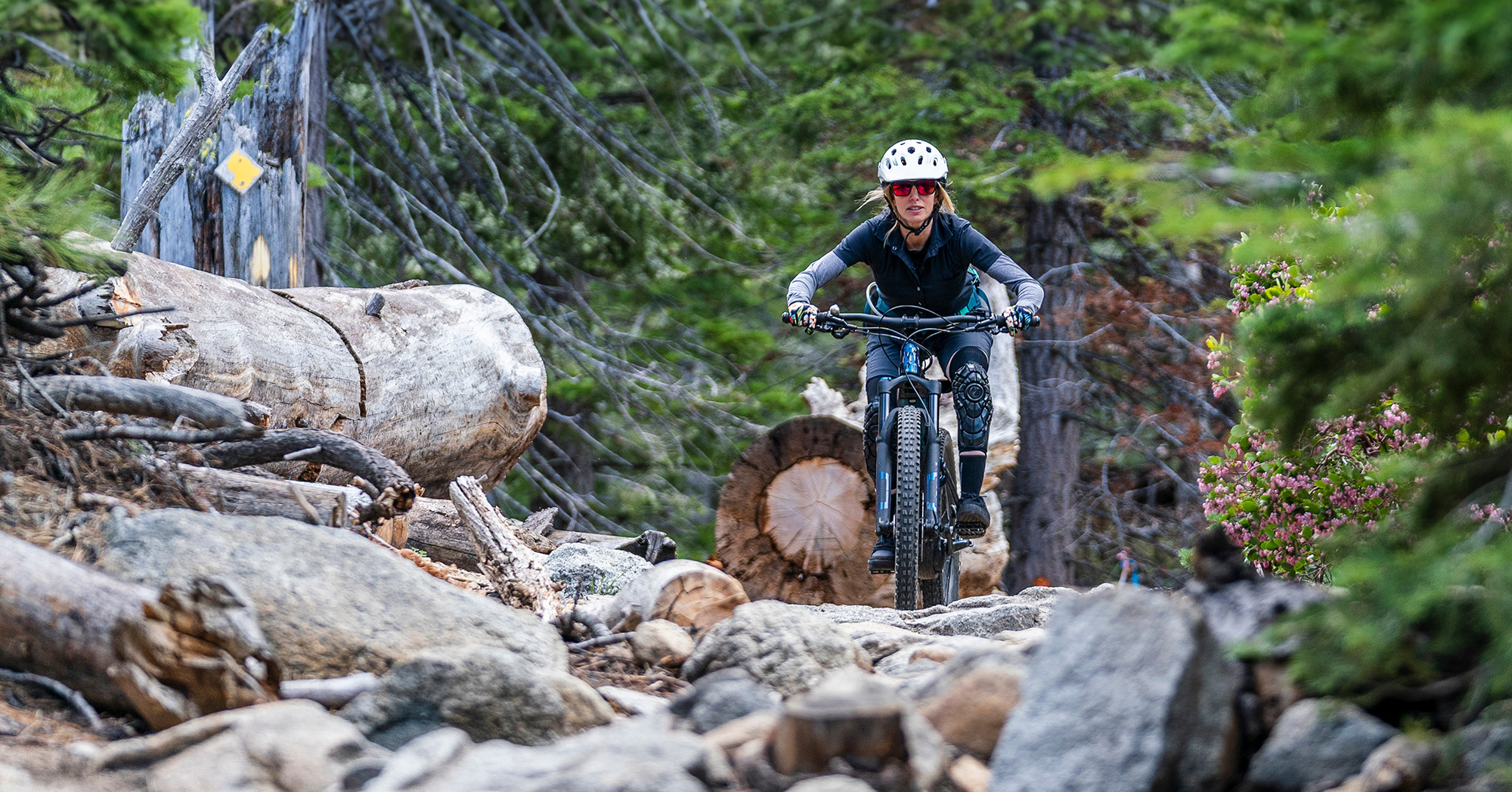 <i>WAKE THE</i> <i>BEAST.</i>